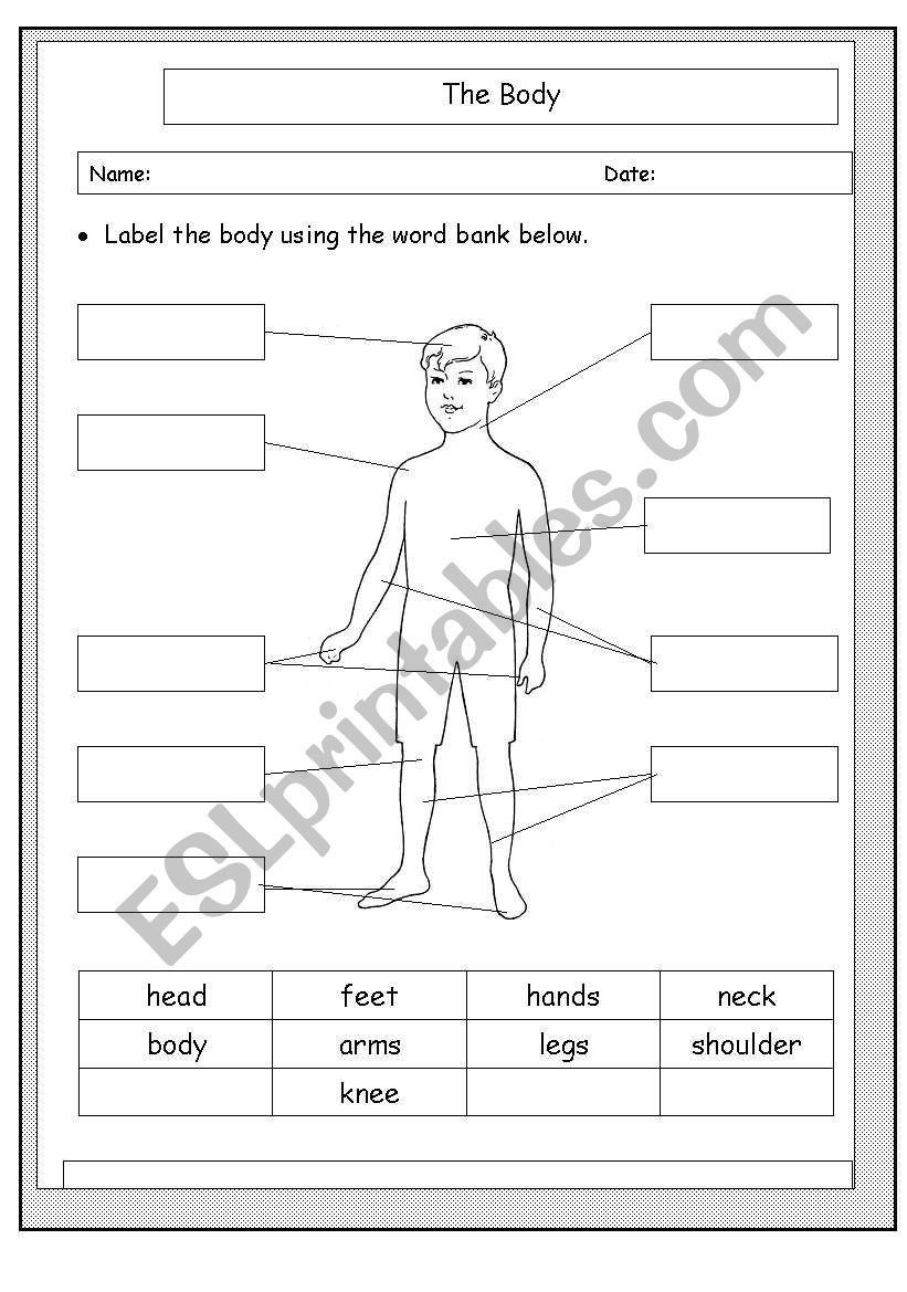 label-body-parts-worksheet