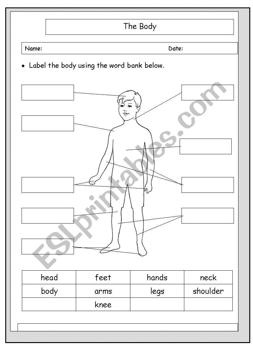 Label parts of the body worksheet