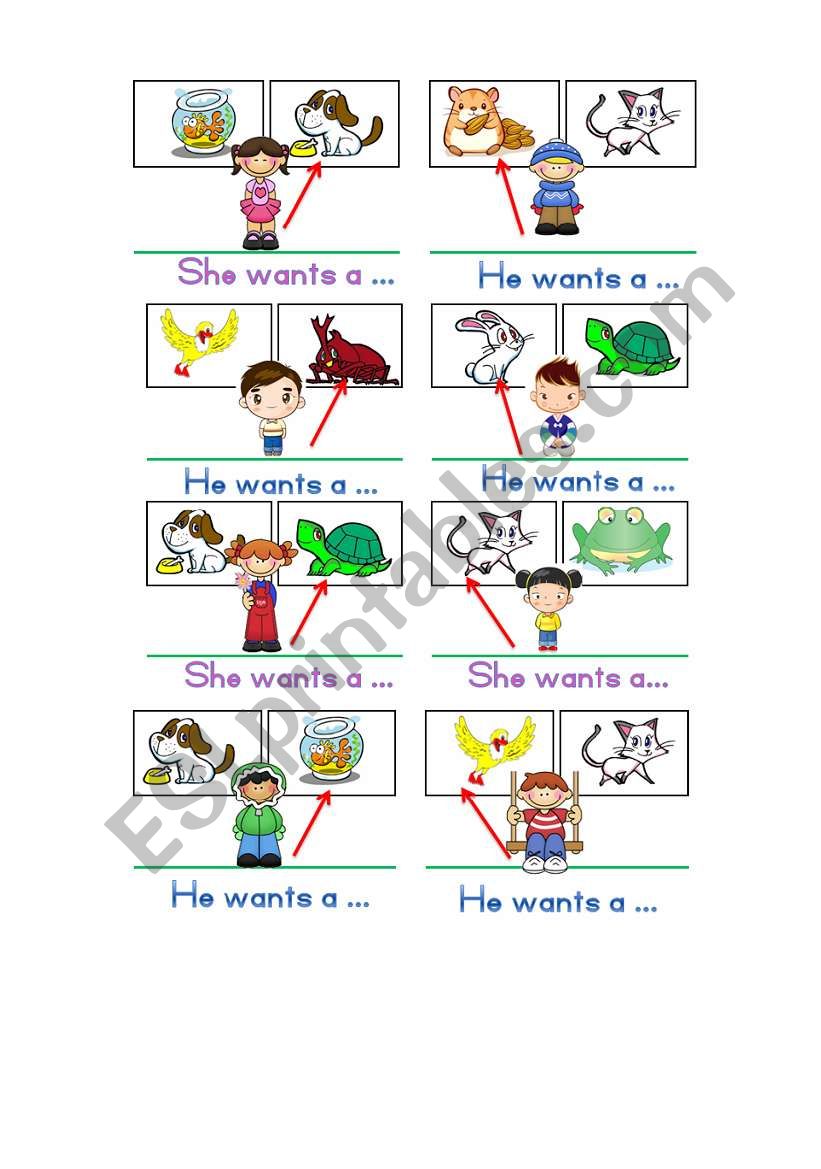 He/She wants a...... worksheet