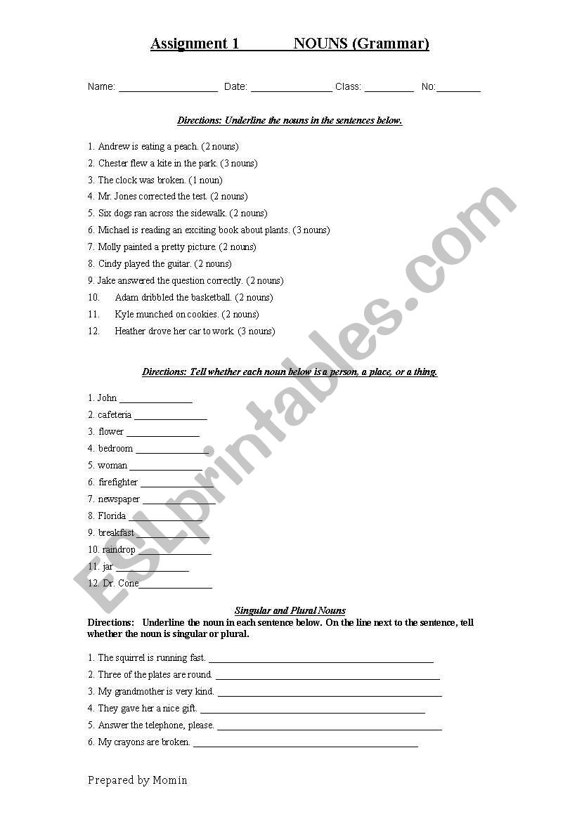 Nouns Worksheet worksheet