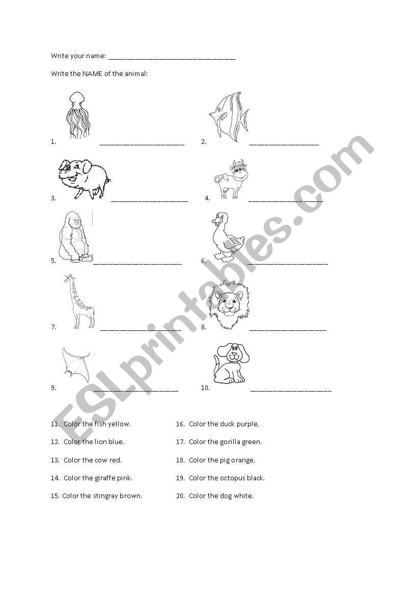 color the animals worksheet