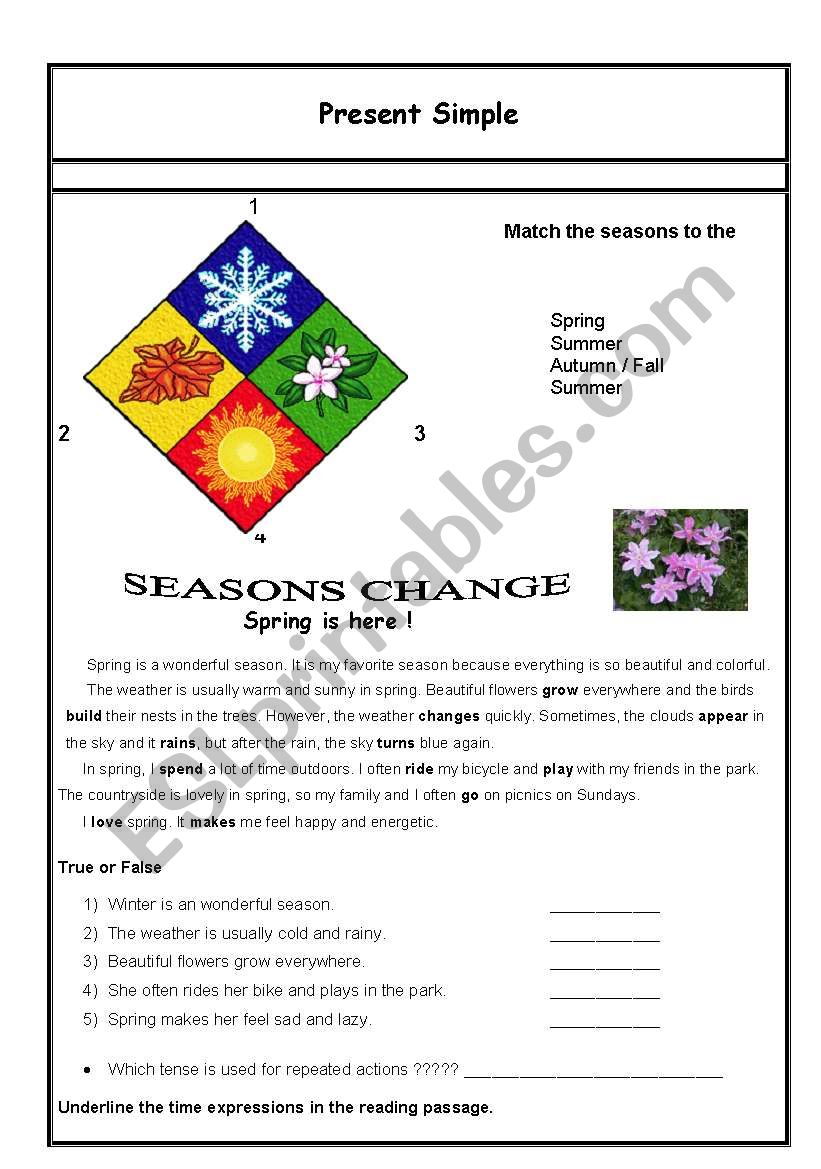 present simple / seasons worksheet
