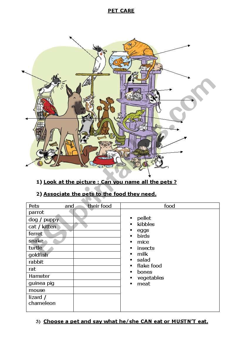 Pet care   worksheet