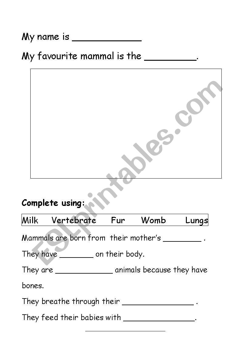 My favourite mammal worksheet