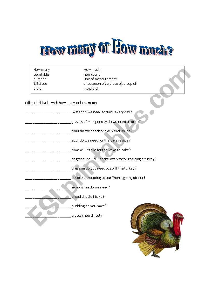 How Many or How Much? worksheet