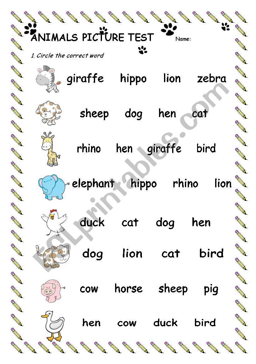 Animals Picture Test worksheet