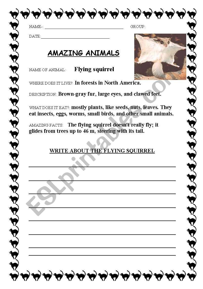 Amazing animals worksheet