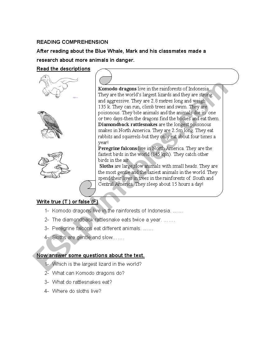 reading comprehension worksheet