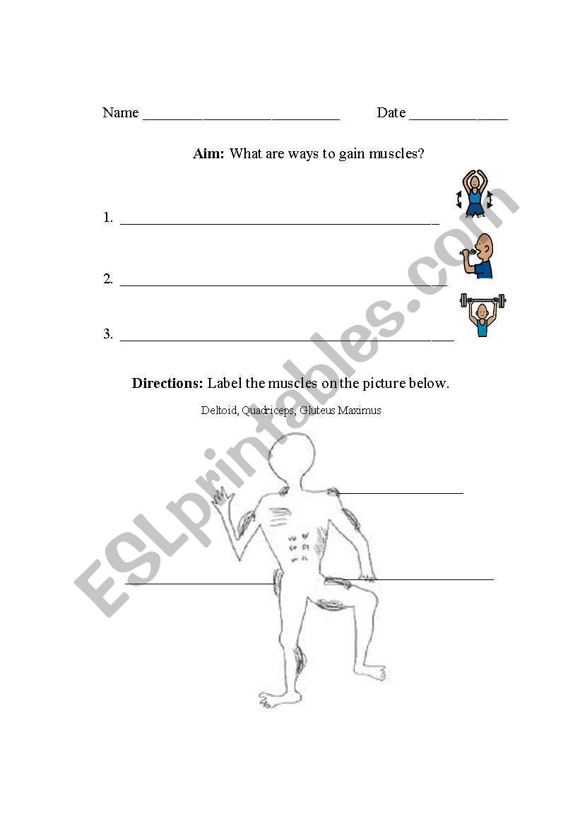english-worksheets-muscles