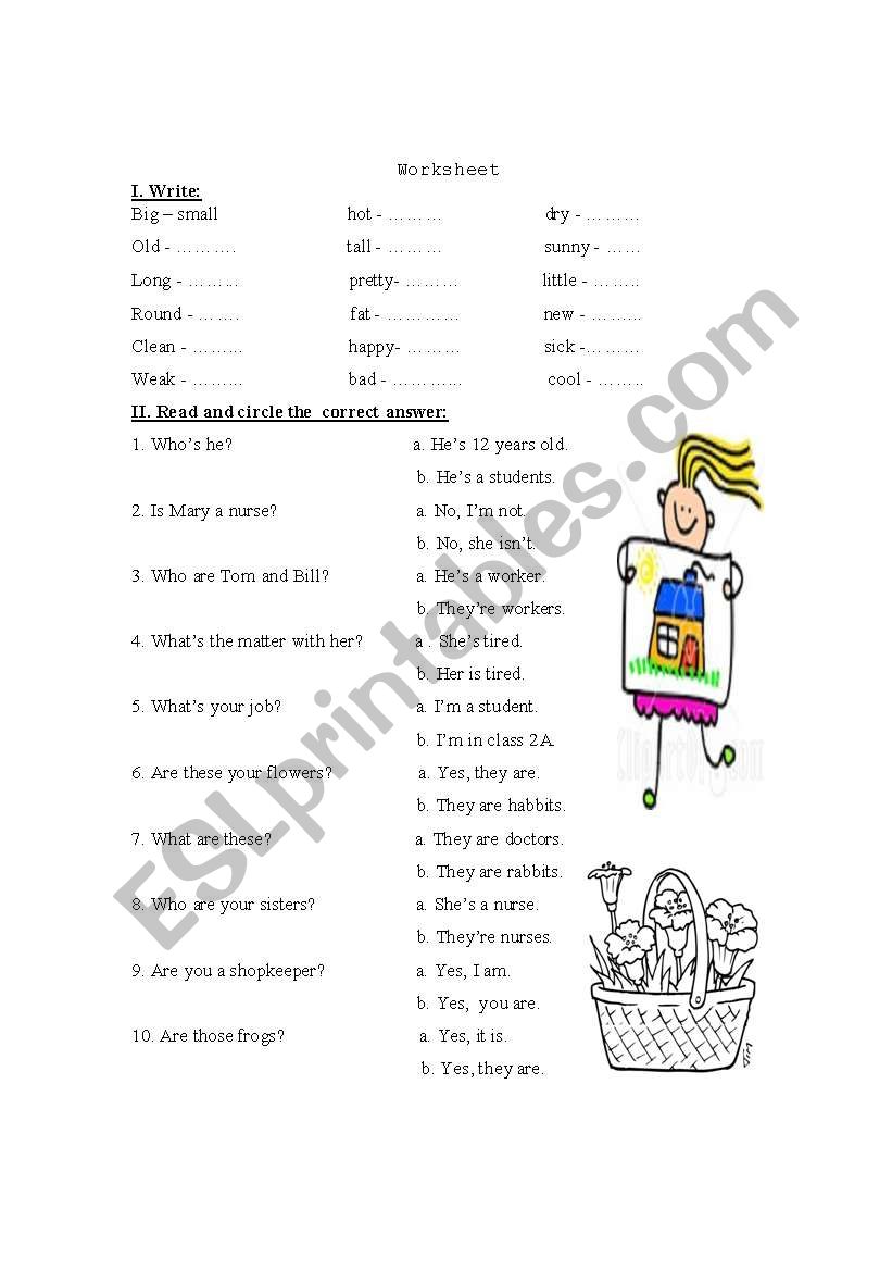 Some English adjectives worksheet