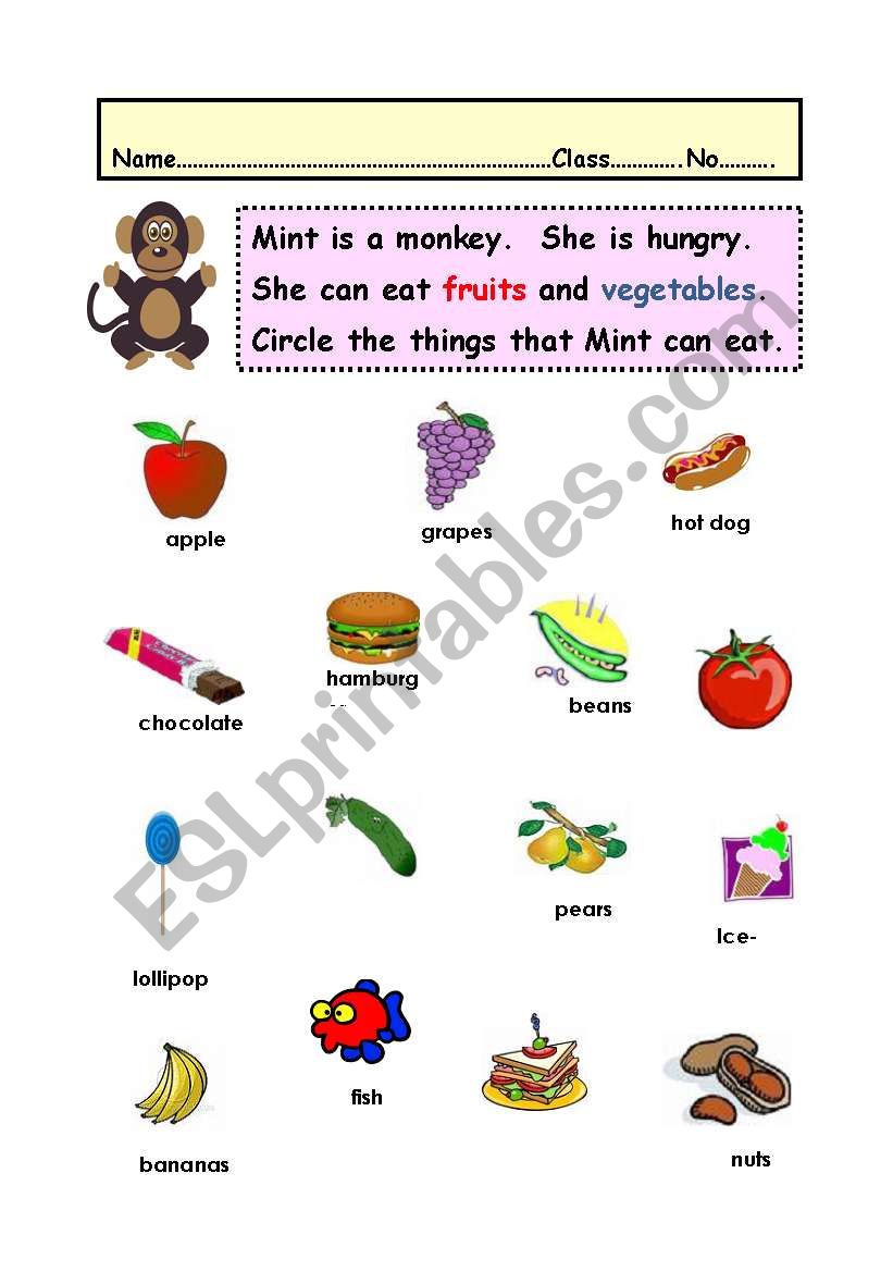 animals worksheet