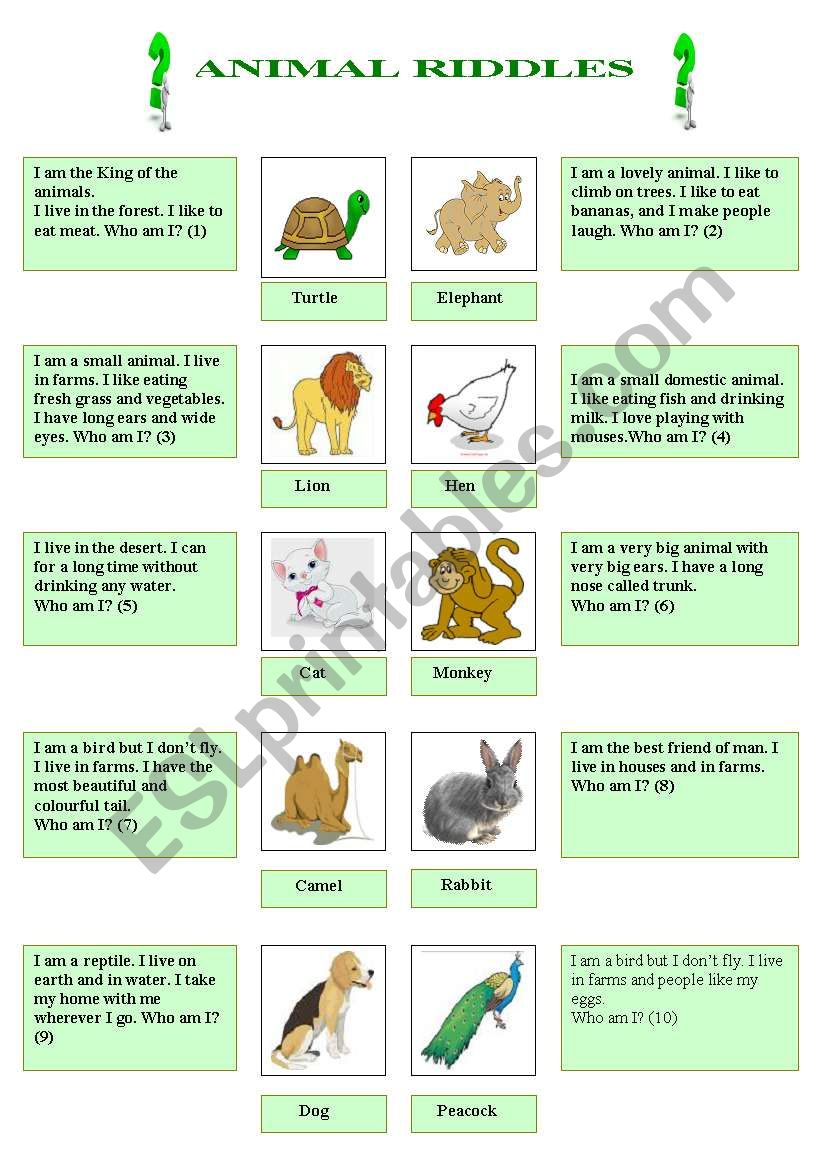 Animal riddles - ESL worksheet by nasnous