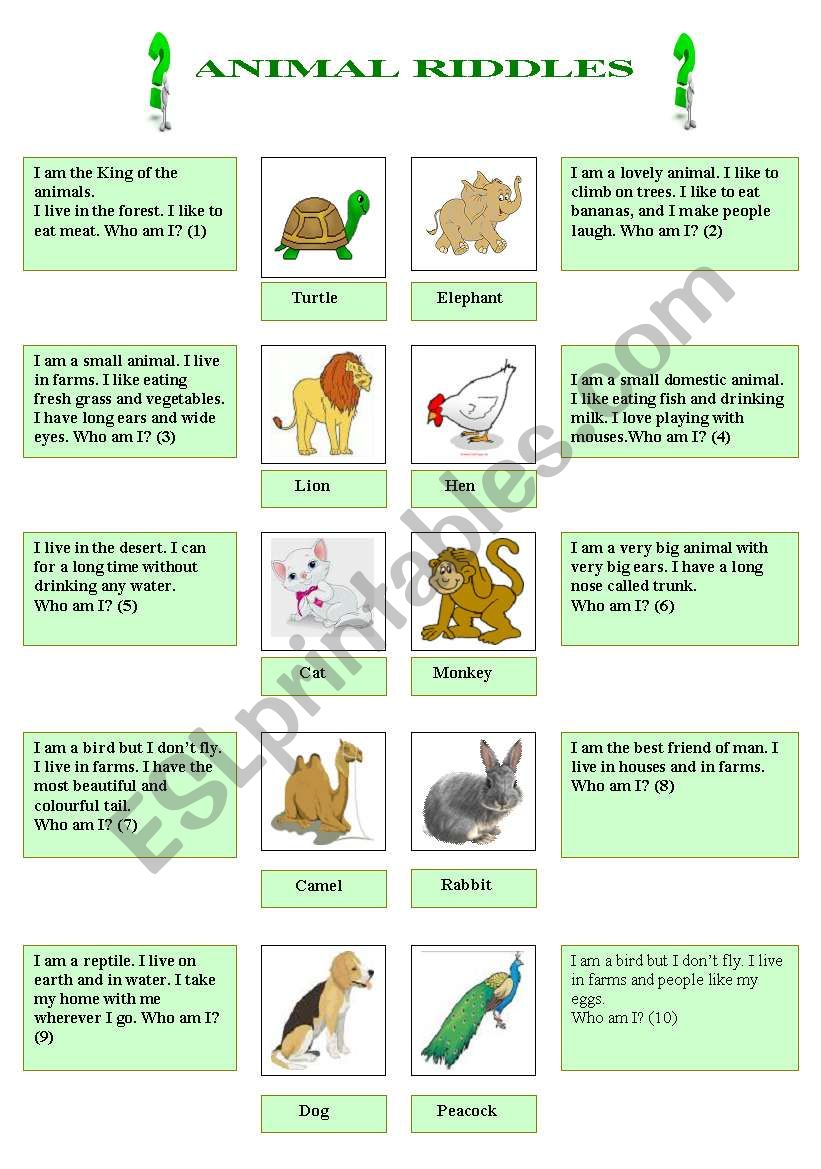 Animal riddles worksheet