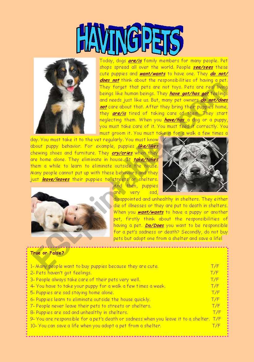 Pets worksheet