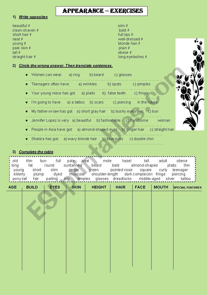 Appearance - exercises worksheet