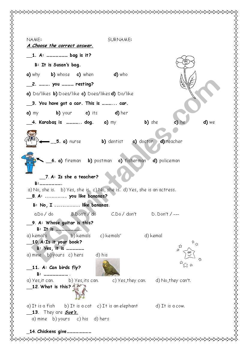 general quiz worksheet