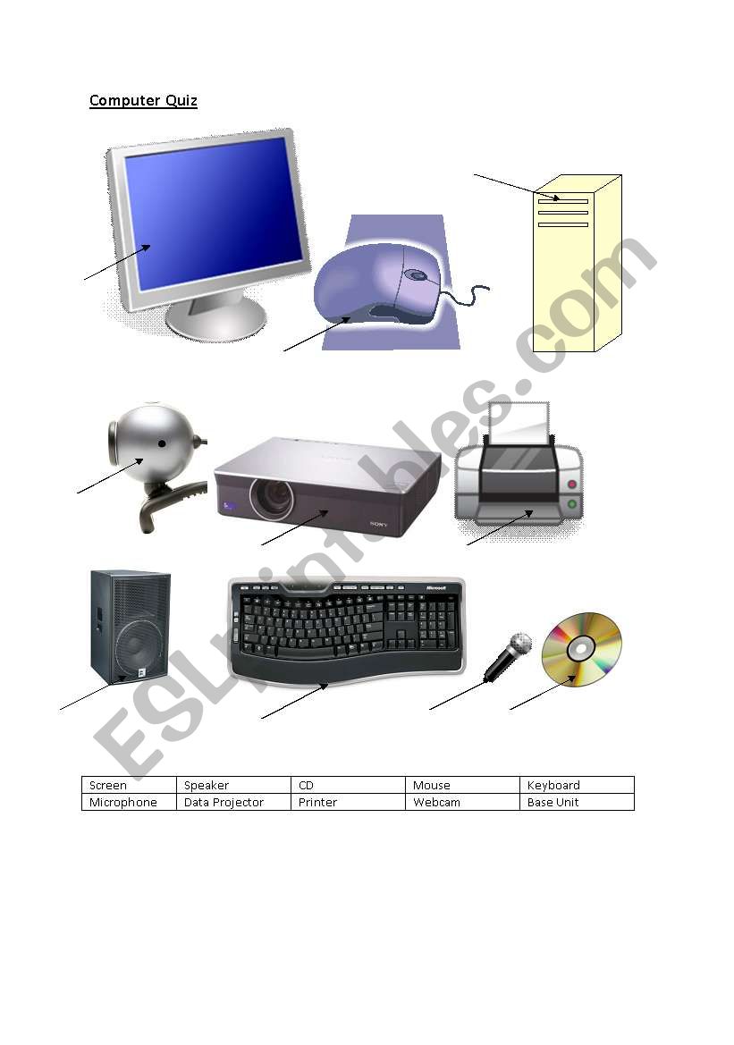 Computer Quiz worksheet