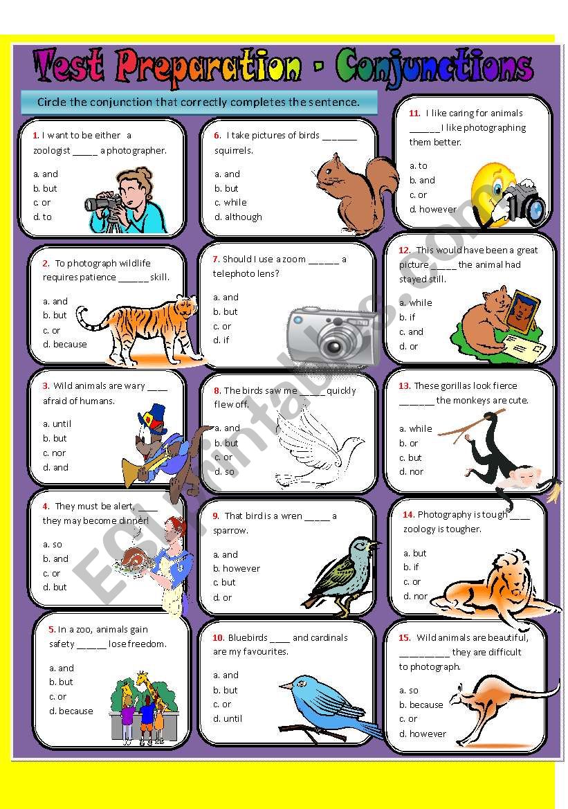 CONJUNCTIONS - TEST PREPARATION