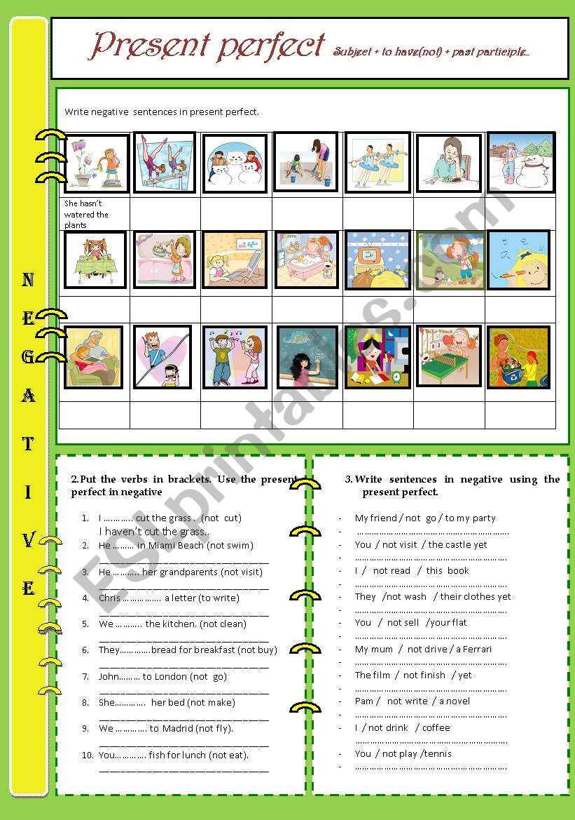 PRESENT PERFECT NEGATIVE worksheet