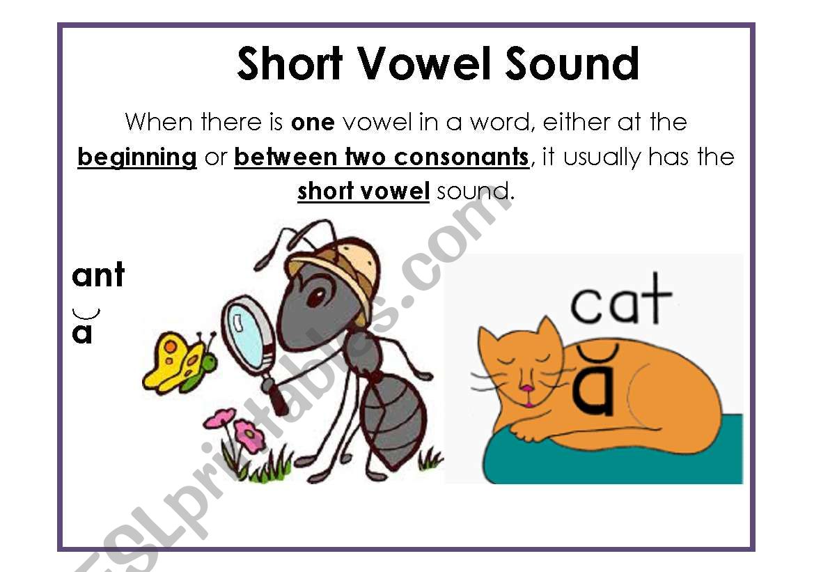 Short Vowel Sound A4 poster worksheet