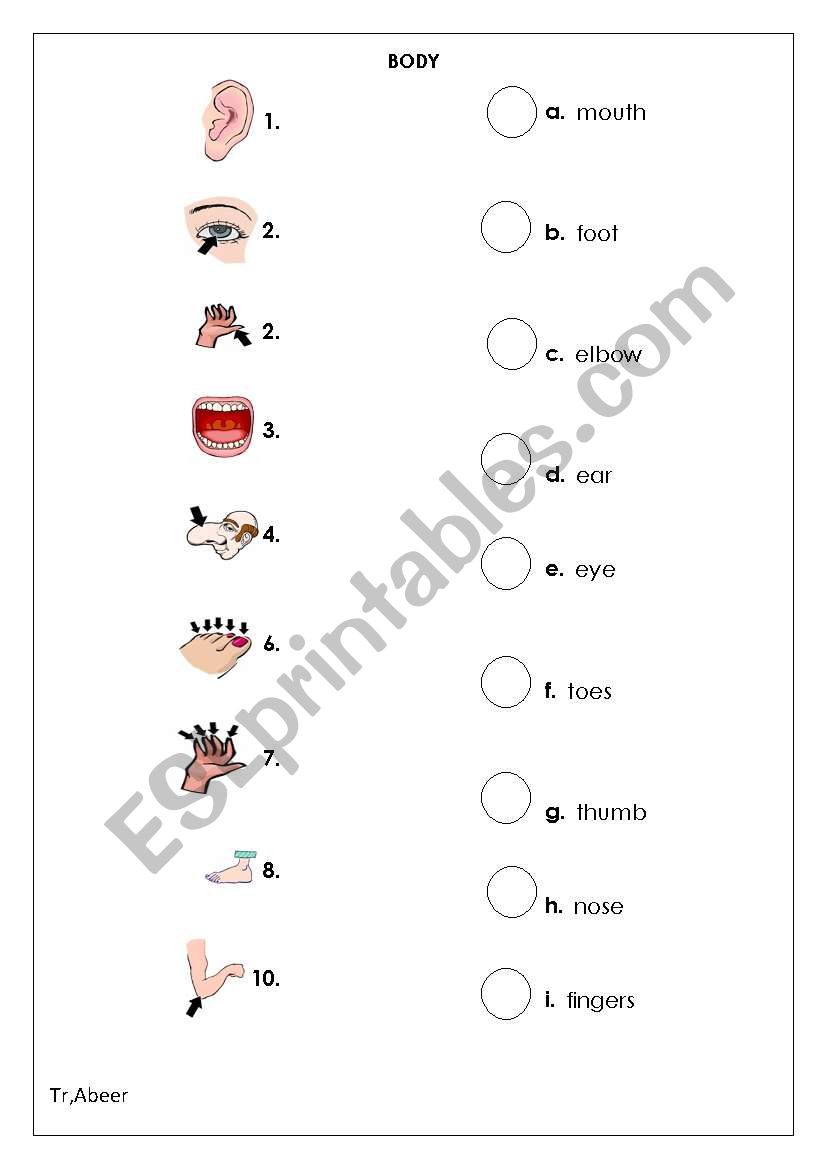 Body parts worksheet