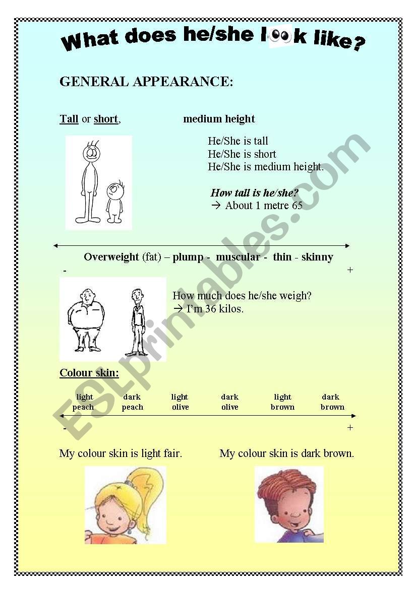 What does he/she look like? worksheet