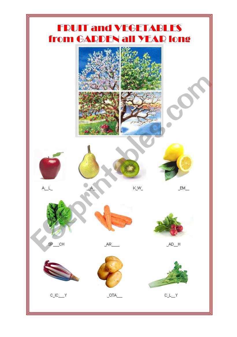 FRUIT AND VEGETABLES AVAILABLE IN ALL THE YEAR 