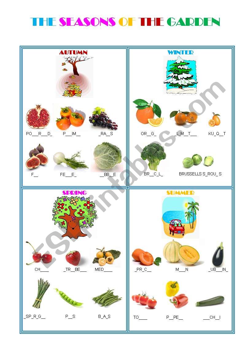 FRUIT AND VEGETABLES SEASON FOR SEASON 