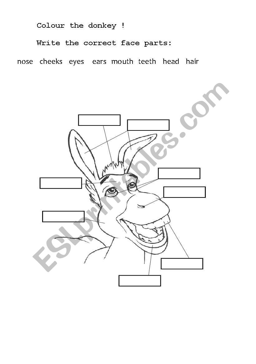  THE DONKEY worksheet