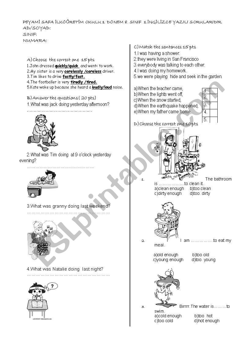 exam ouestions worksheet