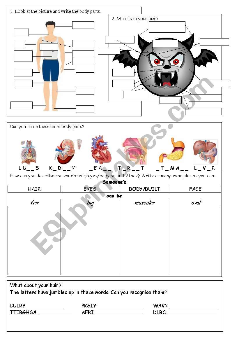 body parts worksheet