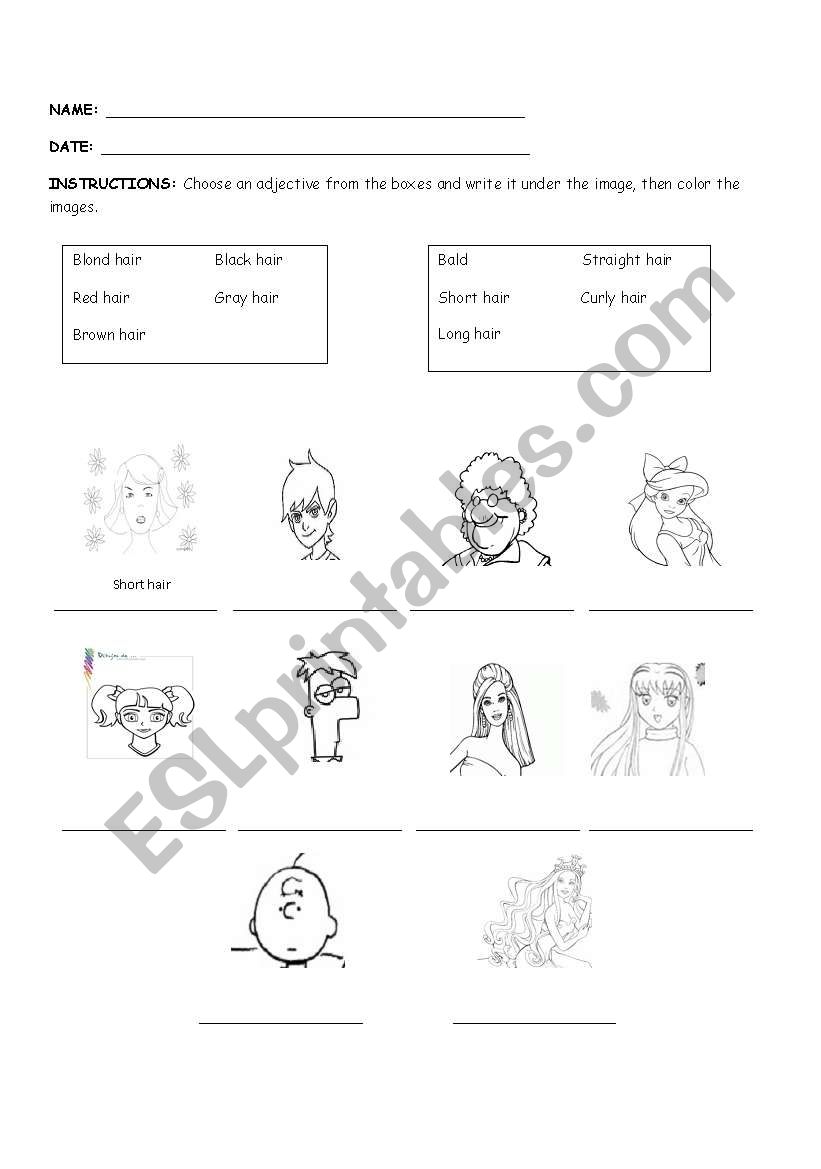 Adjectives worksheet