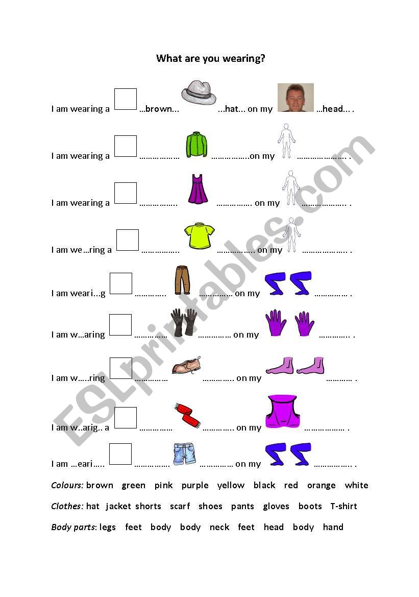 colours clothes body parts worksheet