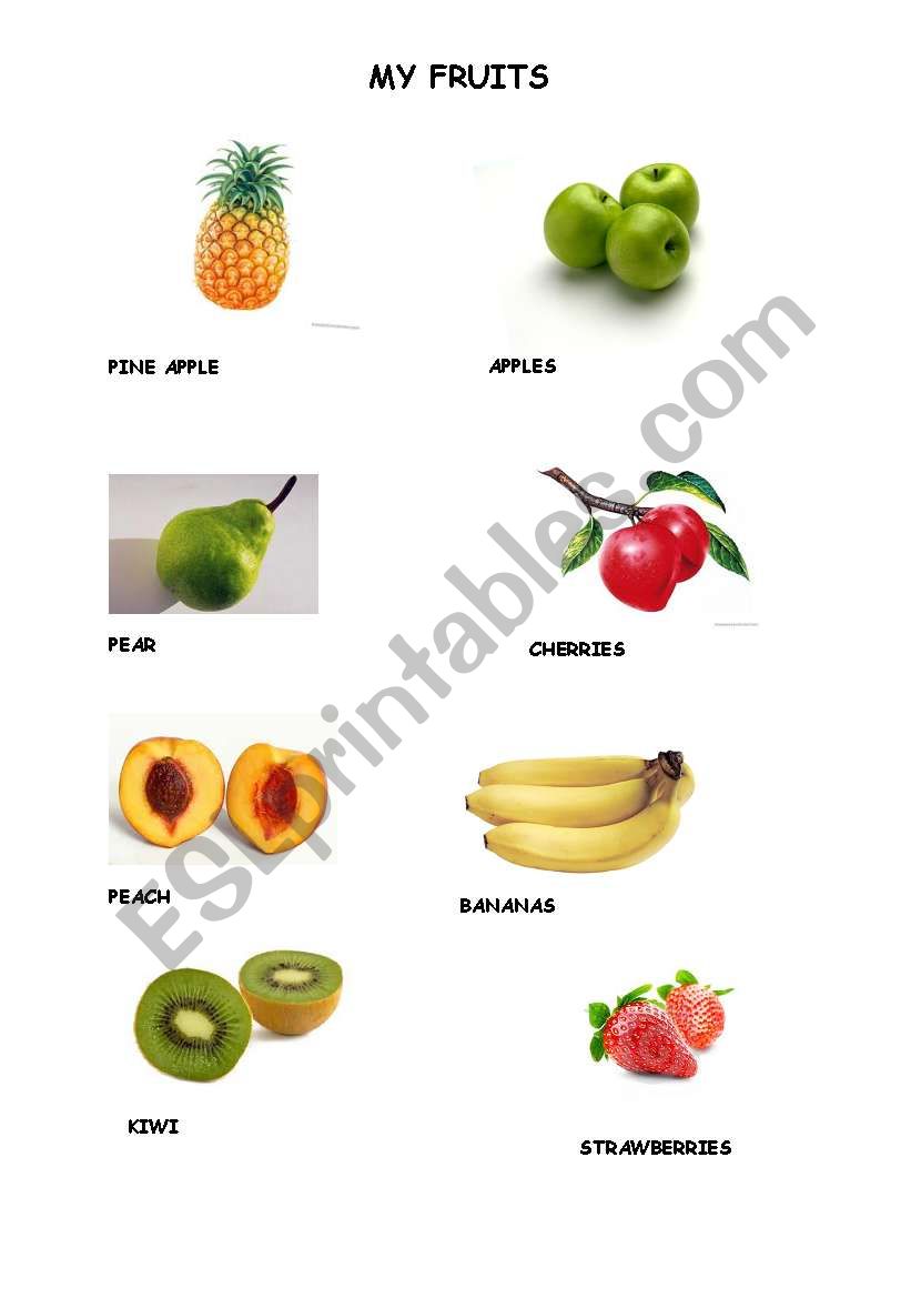 FRUITS worksheet