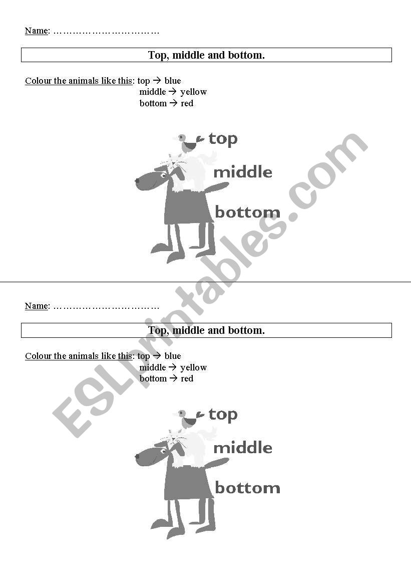 Top, middle and bottom worksheet
