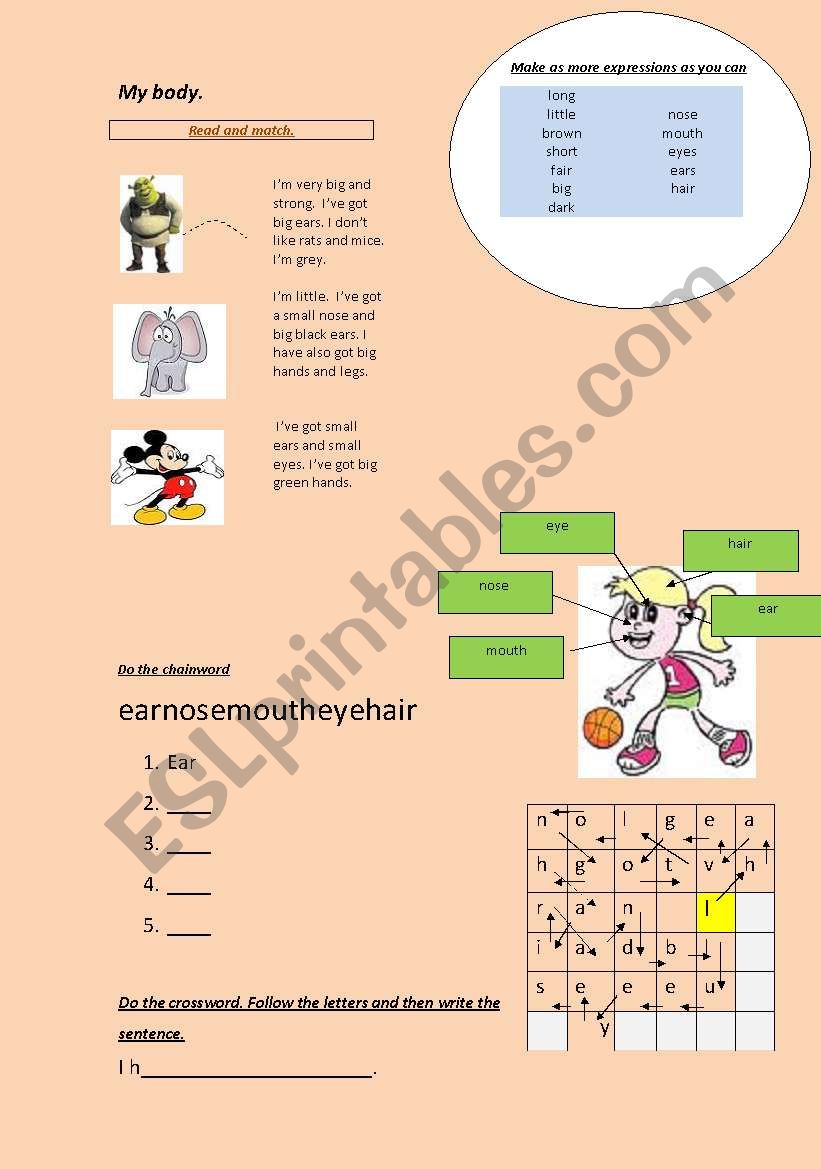 My body (face) worksheet