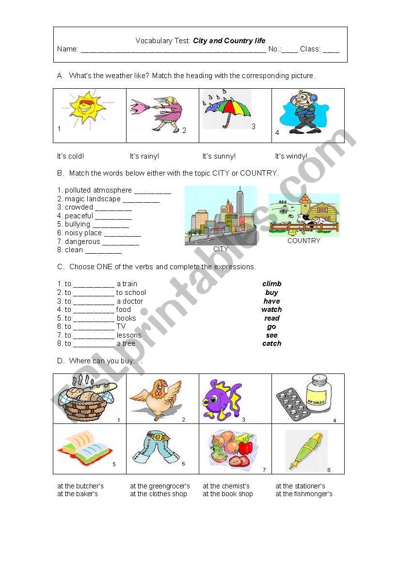 City vs country life worksheet