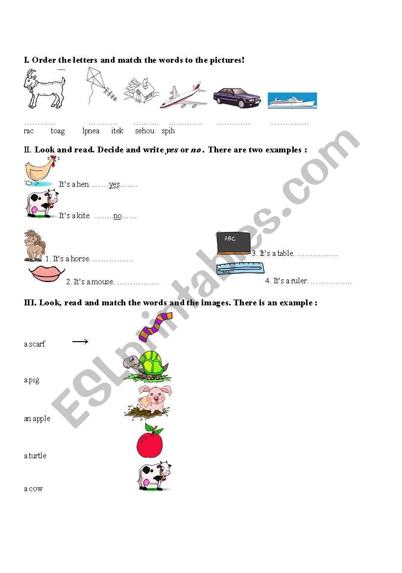 vocabulary - animals, personal objects