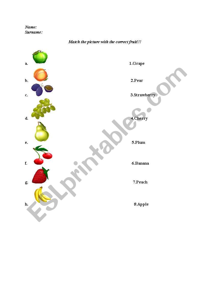 The fruits worksheet