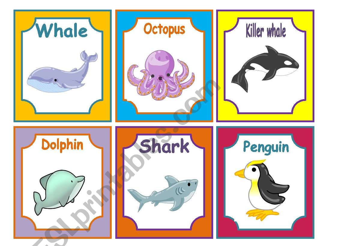 ANIMALS FLASHCARDS 3/3 SEA ANIMALS (30 CARDS)