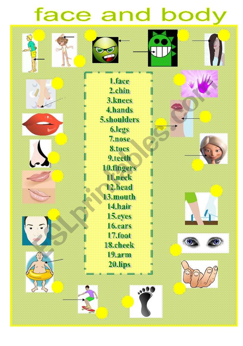 face and body worksheet