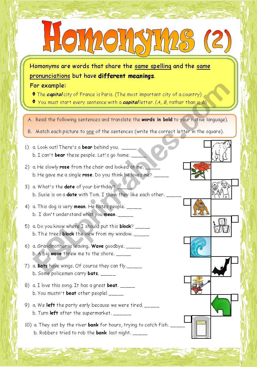 Homonyms - Part 2/2 **fully editable