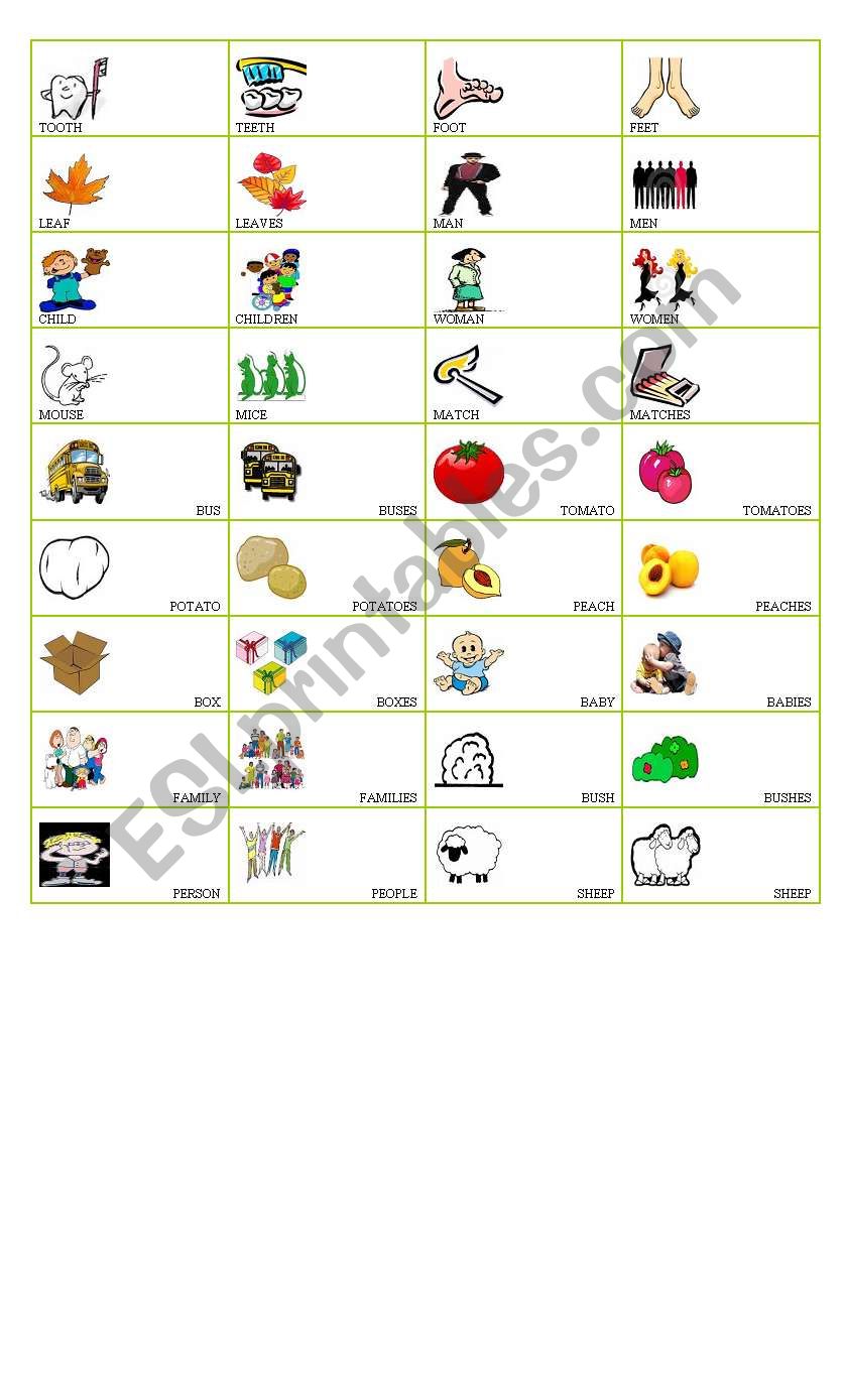 Movers vocabulary -Singular/Plural