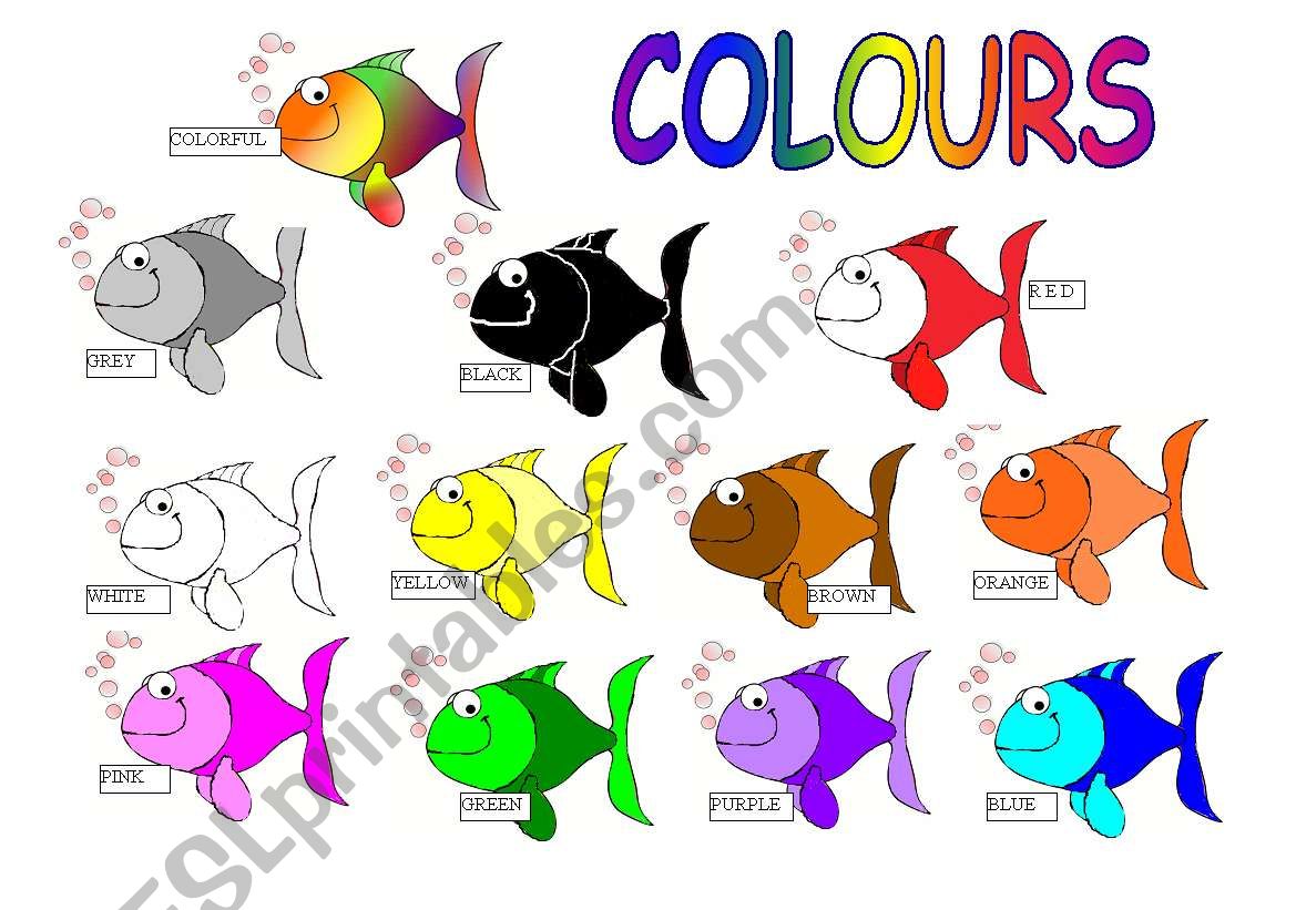 COLOURS  worksheet