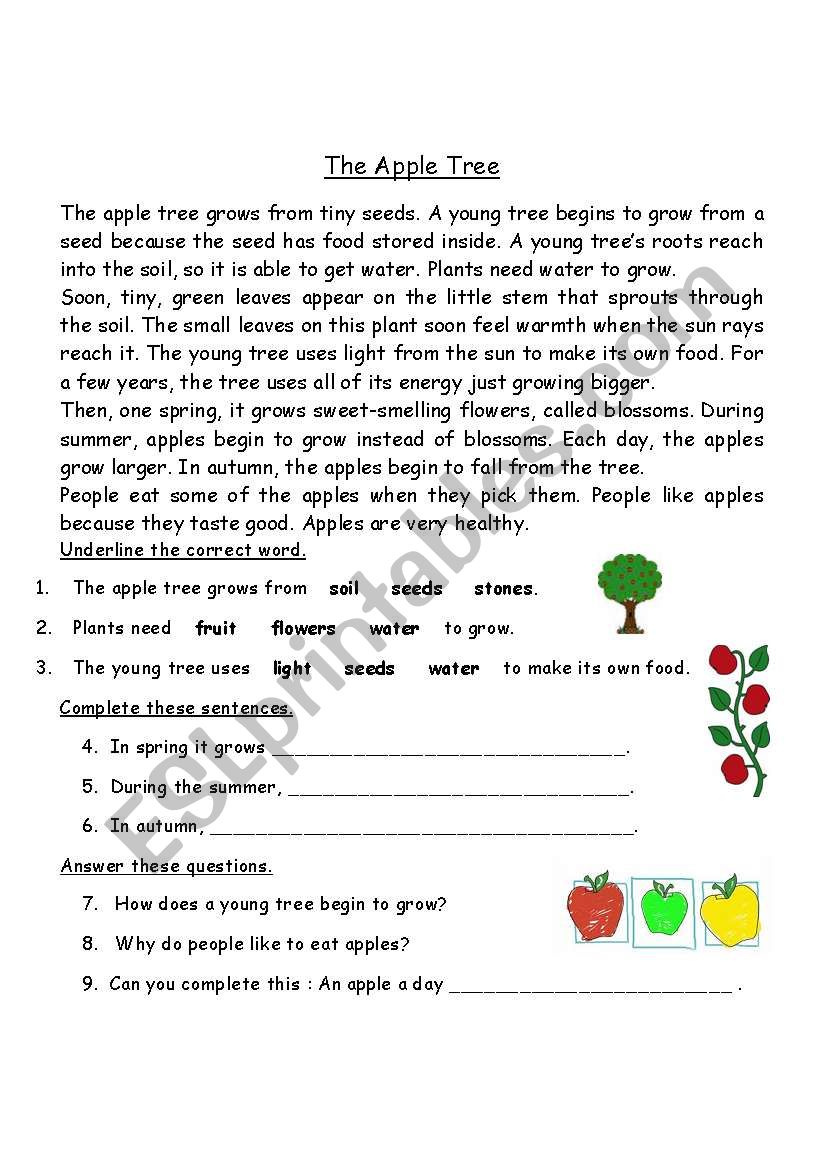 The Apple Tree worksheet