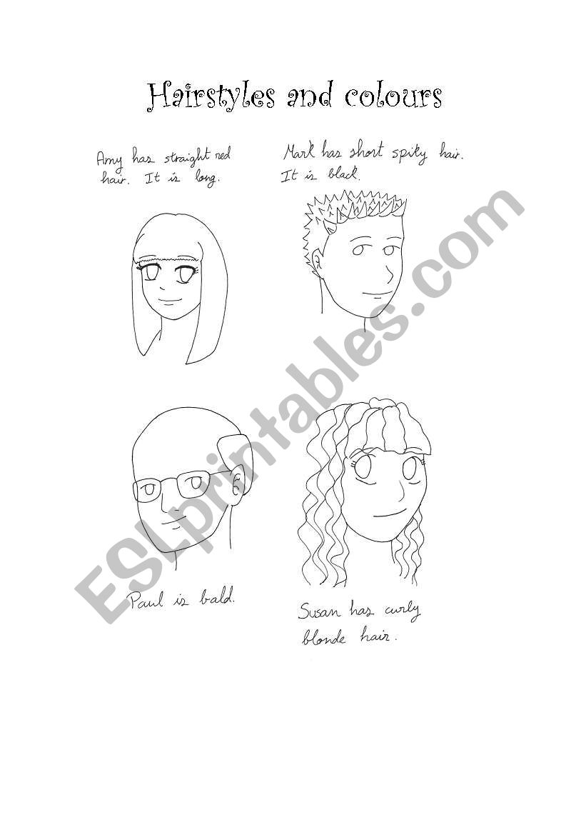 Hairstyles and colours worksheet