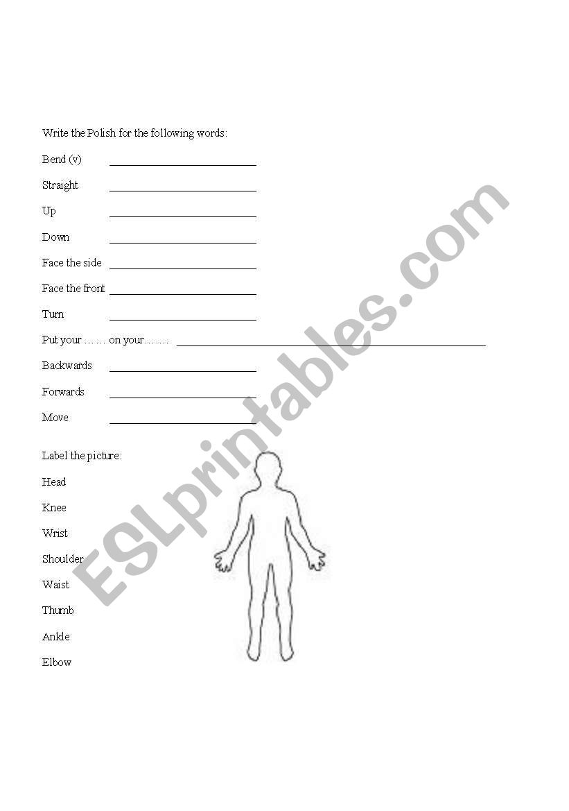 Body parts and movement vocab