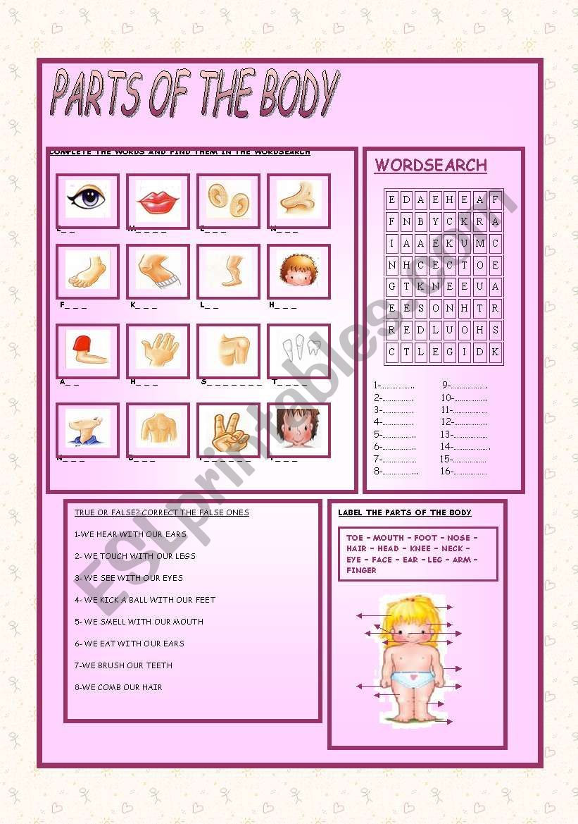 PARTS OF THE BODY worksheet