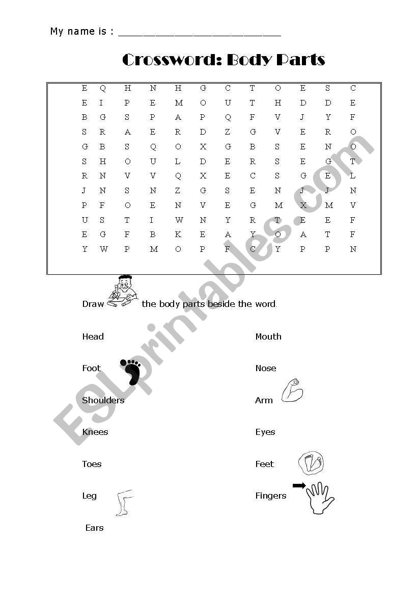 crossword on body parts  worksheet