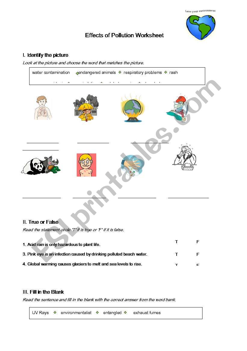 Effects of Pollution worksheet